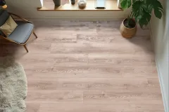 DOVE