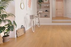 323b-roble-crescendo-or-4v-room