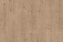 Roble eyre miel