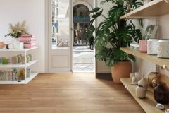 567b Roble Bern